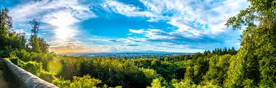 Durham's Luxury Real Estate Market: Top 10 Active Properties & What They Reveal About 2025 Trends